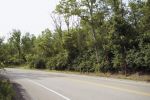 woods-2
