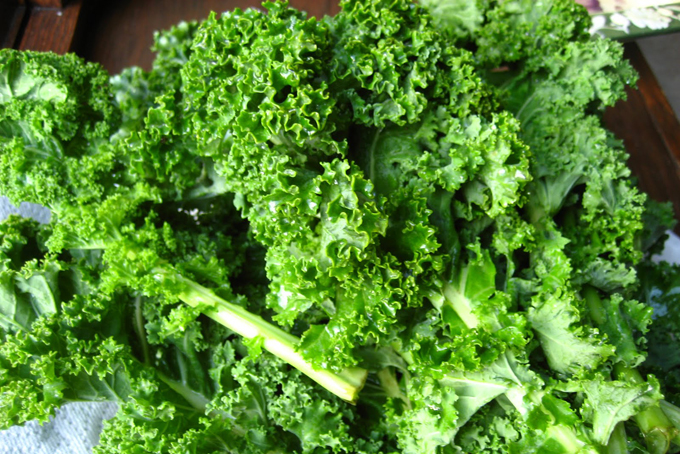 kale-1.jpg