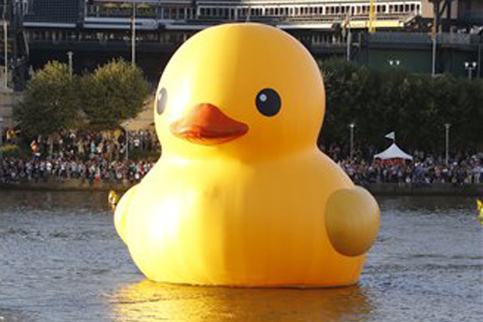 ducka7067000b84.jpg