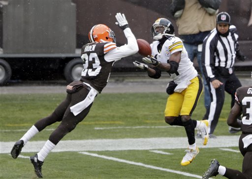 Pittsburgh Steelers wide receiver Antonio Brown (84) catches a 41-yard touchdown against Cleveland Browns cornerback Joe Haden (23) in the second quarter of an NFL football game on Sunday, Nov. 24, 2013, in Cleveland. (AP Photo/Tony Dejak)