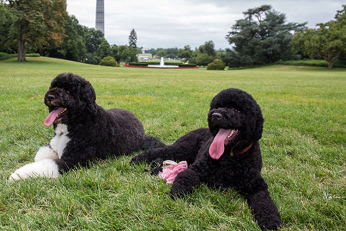 BO AND SUNNY OBAMA