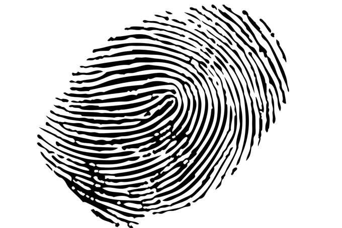 vector-fingerprint