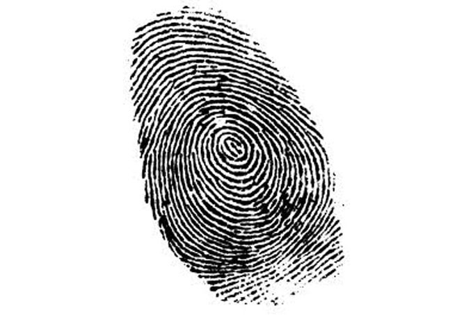 Fingerprint copy