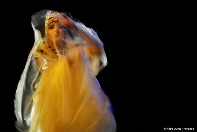 CS14_Fleur_5-c-AliceDufour-Feronce