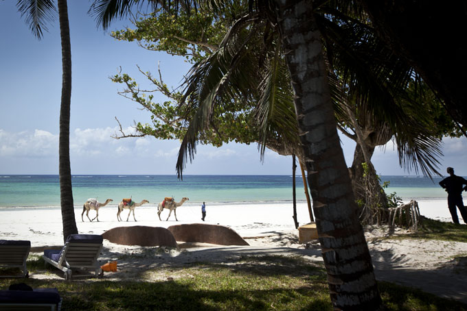 Ebola Tourist Fears