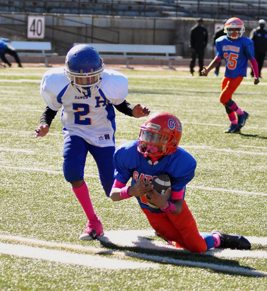 Allen-Parker,-Garfield-Gator-Termites-11-26-2014