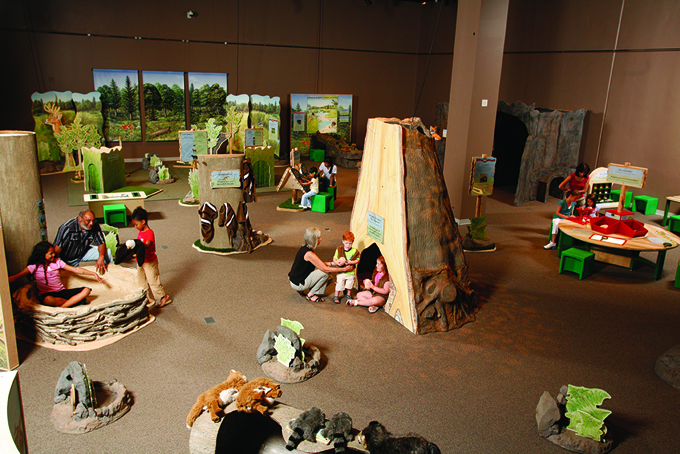 In Animal Secrets, families explore the hidden habitats and secret lives of forest animals. Children discover nature from an animal’s point of view in a stream, meadow, woodland, cave, and naturalists’ tent. (Courtesy Photo The Carnegie) 