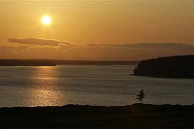 In this April 29, 2015, photo, the signature lone fir tree at Chambers Bay golf course stands at sunset in University Place, Wash. Chambers Bay will host the 115th U.S. Open golf tournament next week, but the course is a mystery to the majority of the players because it opened only eight years ago. (AP Photo/Ted S. Warren)