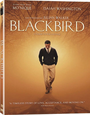 BLACK-BIRD