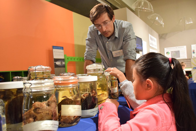 Specimen ID Day (Courtesy Photo Carnegie Museum of Natural History)