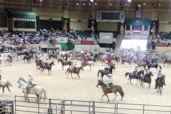 Bill Pickett Invitational Rodeo celebrates 31 years | New Pittsburgh ...