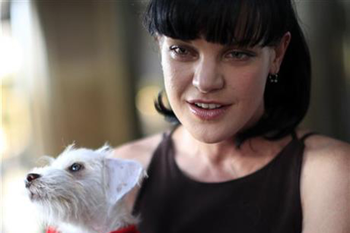 FILE - This July 15, 2010 file photo shows actress Pauley Perrette from the television show NCIS arrives at the Pacific Design Center prior to taking part in a charity dog event benefiting in West Hollywood, Calif. Authorities say a man attacked Perrette in front of her Hollywood home, punching her in the face several times. The actress tweeted that she thought she was going to die Thursday night, Nov. 12, 2015. (AP Photo/Richard Vogel,File)
