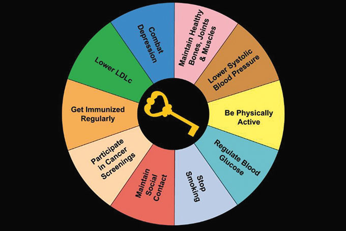 B3ColoredWheel_withtext_3