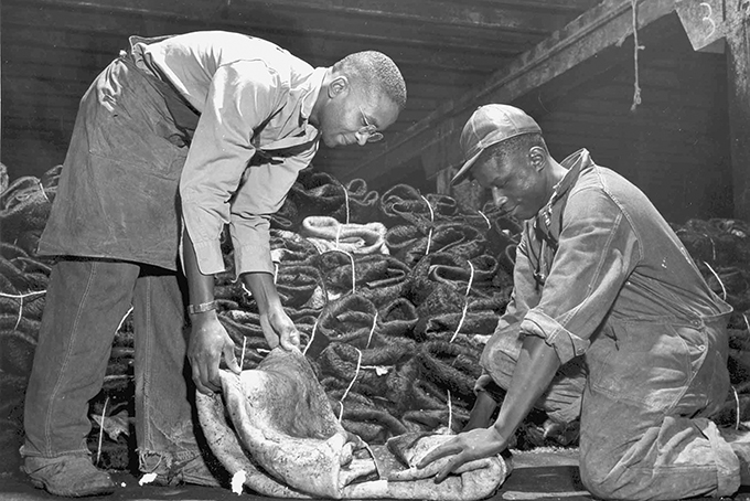 Two Black workers fold hides at Chicago Union's Stockyards. (Chicago History Museum)