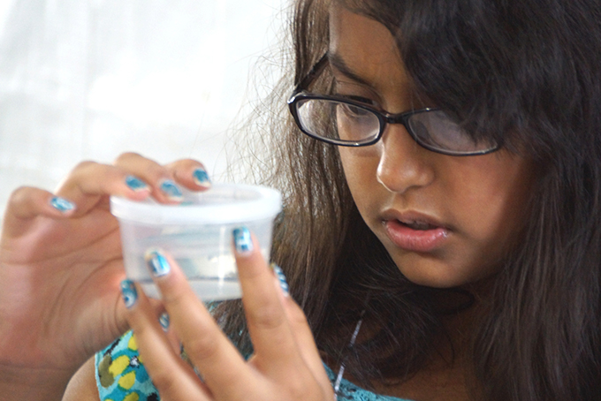 ALCOSAN Summer Camp (Courtesy Photo  ALCOSAN)