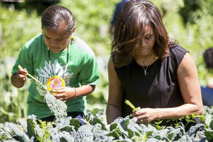 In this June June 6, 2016 file photo, first lady Michelle Obama, joined by school children from across the country, harvest the White House Kitchen Garden at the White House in Washington. (AP Photo/Andrew Harnik, File)