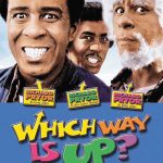 which-way-is-up