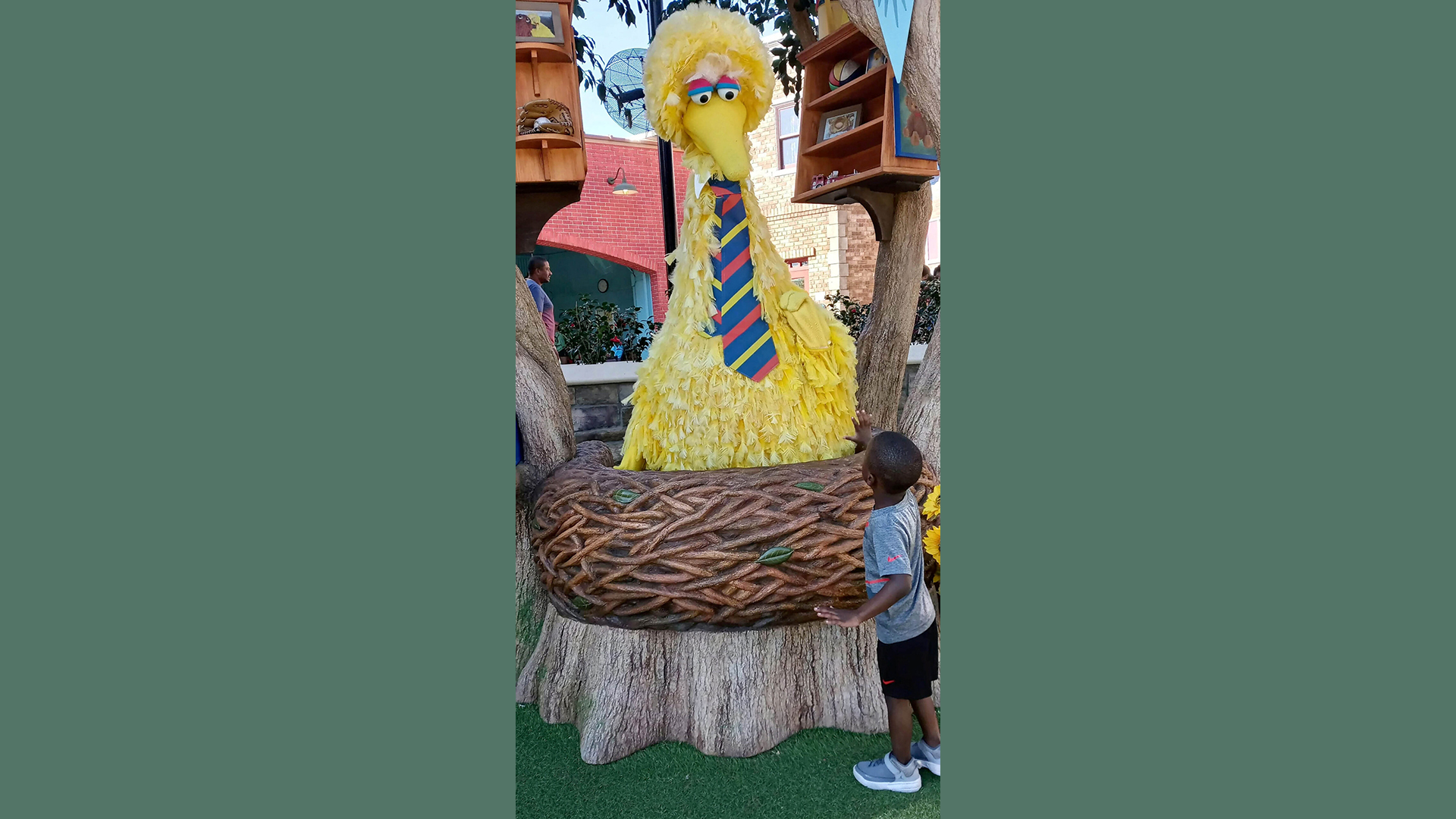 Parents Claim Their Black Son Was Ignored By Big Bird At A Sesame Street Theme Park