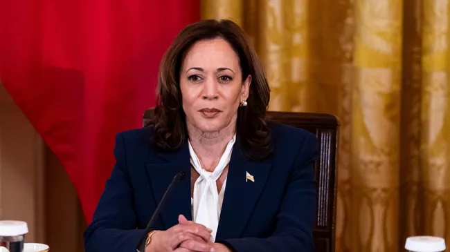 Agent removed from Kamala Harris’ detail following ‘distressing’ behavior