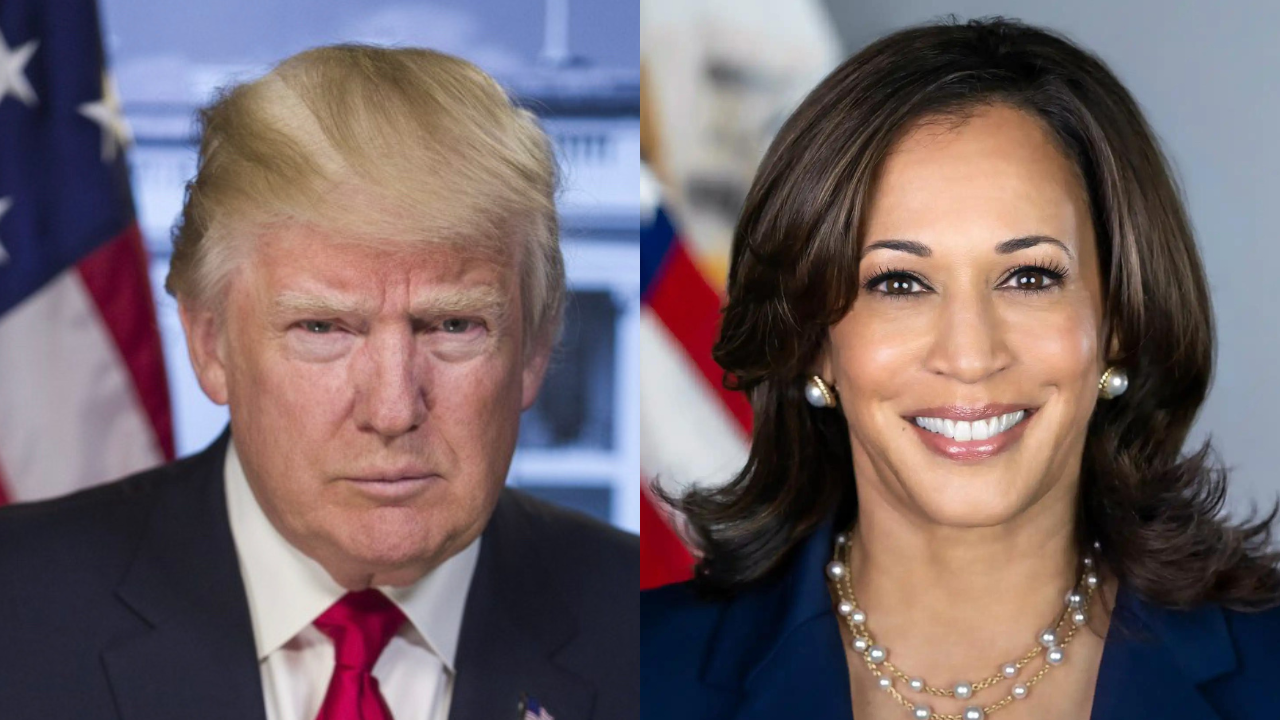 Harris trump polls today 2024