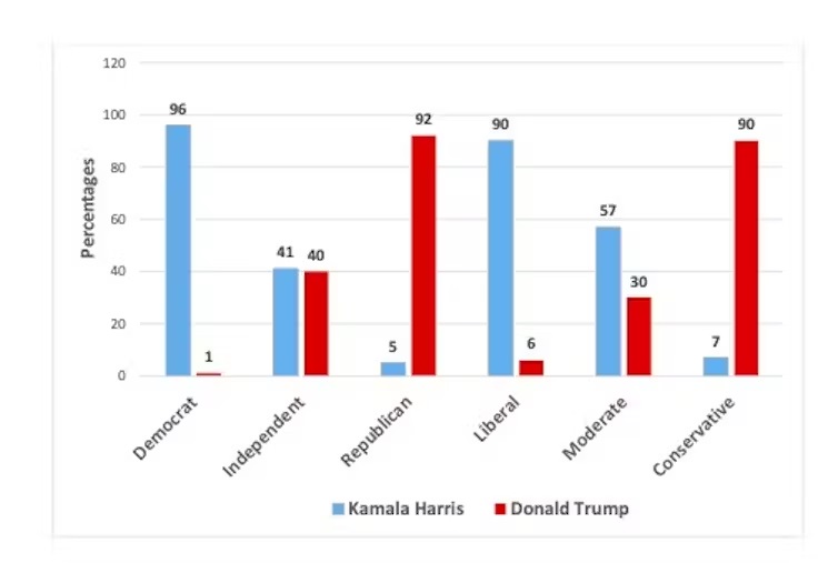 Harris leads Trump in the polls here’s what they really tell us about