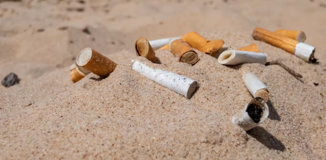 do cigarettes have plastic in them Cigarette filters do nothing for smokers' health and just create plastic  pollution – they should be banned